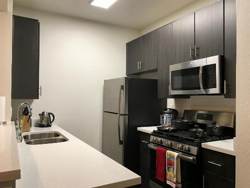 Brilliant Apartment Walk Distance to UCLA O9 image 10