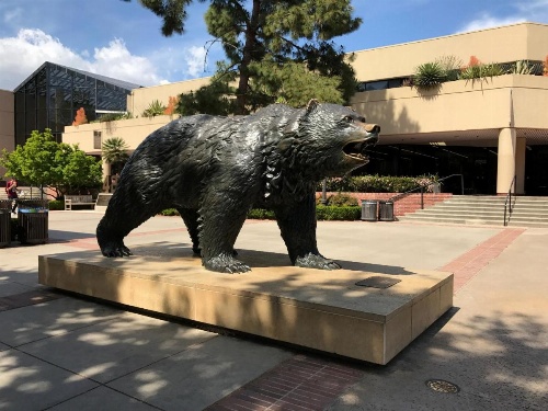 Brilliant Apartment Walk Distance to UCLA O9 image 31