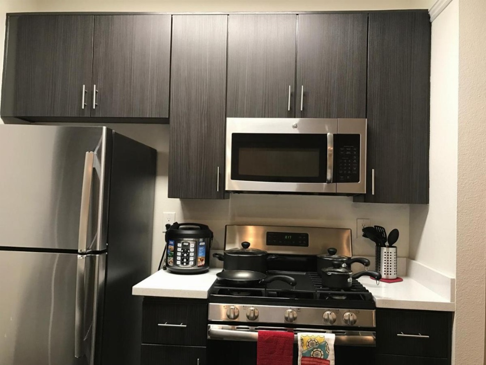 Brilliant Apartment Walk Distance to UCLA O9